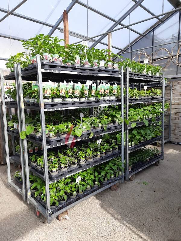 Rosen Stöckl das Gartenparadies