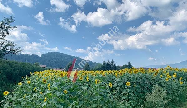 Rotes Kreuz Bezirksstelle Feldkirchen