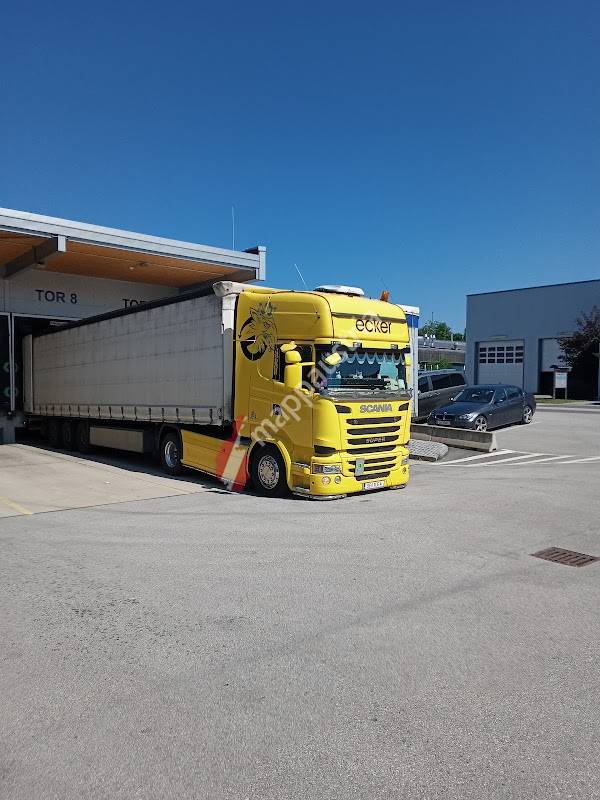 Samena GmbH