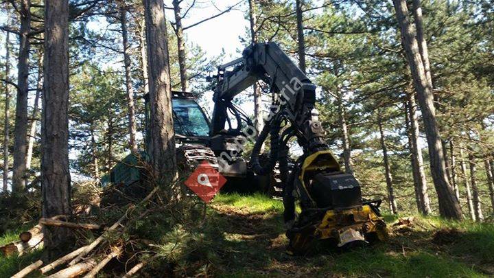Sattler F. & F. - Holz KG