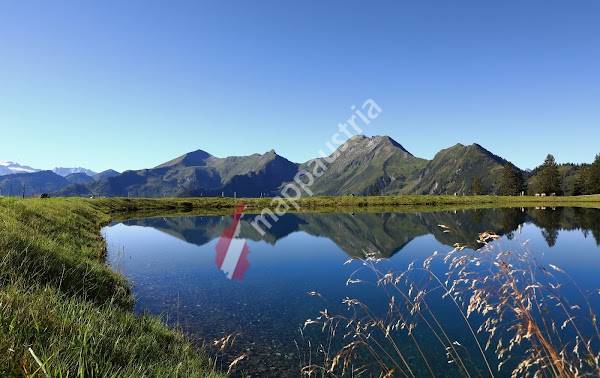 Schischaukel Großarltal Dorfgastein AG