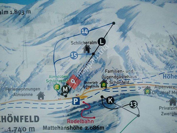 Schönfeld