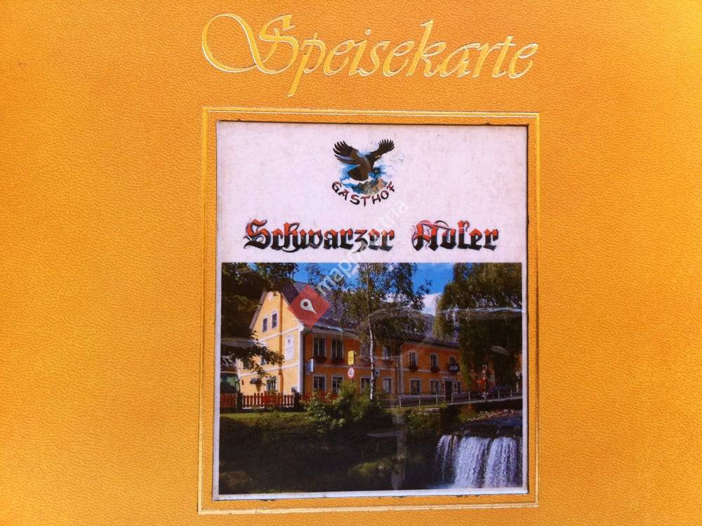 Schwarzer Adler