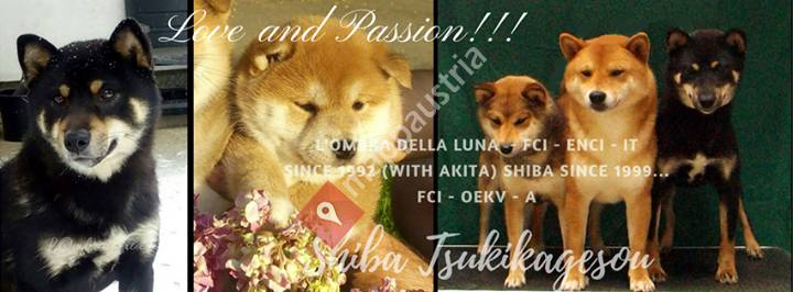 Shiba Tsukikagesou & L'Ombra della luna
