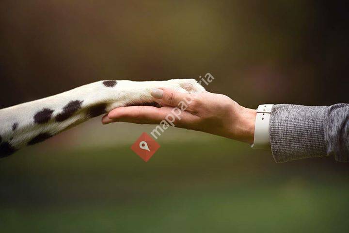 SIXLEGS