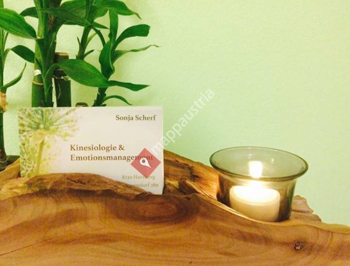 Sonja Scherf-Kinesiologie & Emotionsmanagement