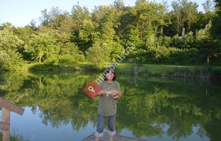 Sportfischereiverein Baumgarten