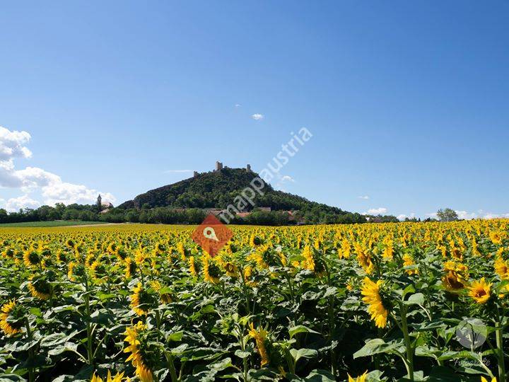 STAATZerleben