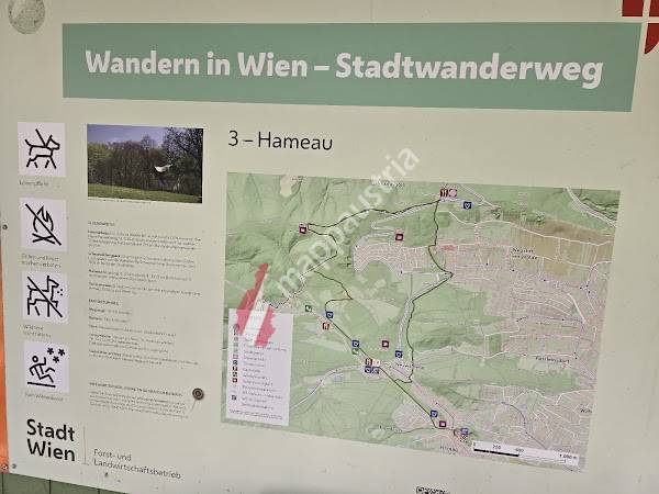 Stadtwanderweg 3