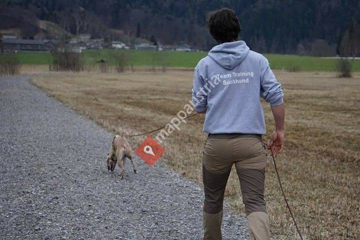 Team Training - Hunde Leben Hunde Lieben
