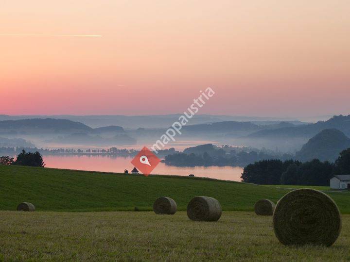 Thurerhofs Kräuterwelt