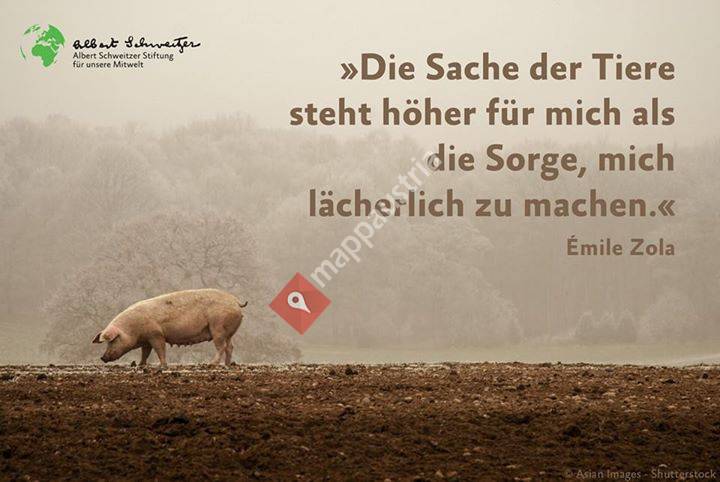Tierbotschaften
