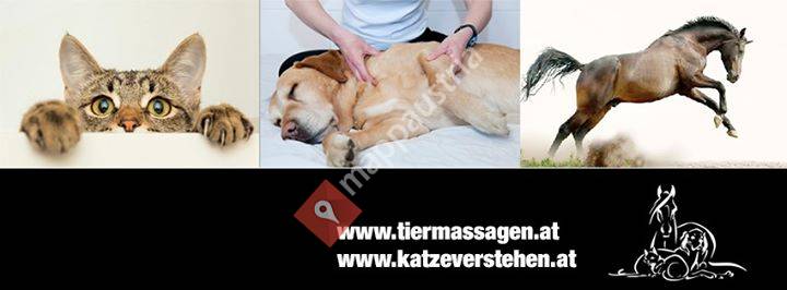 Training for pets Daniela Eglseder