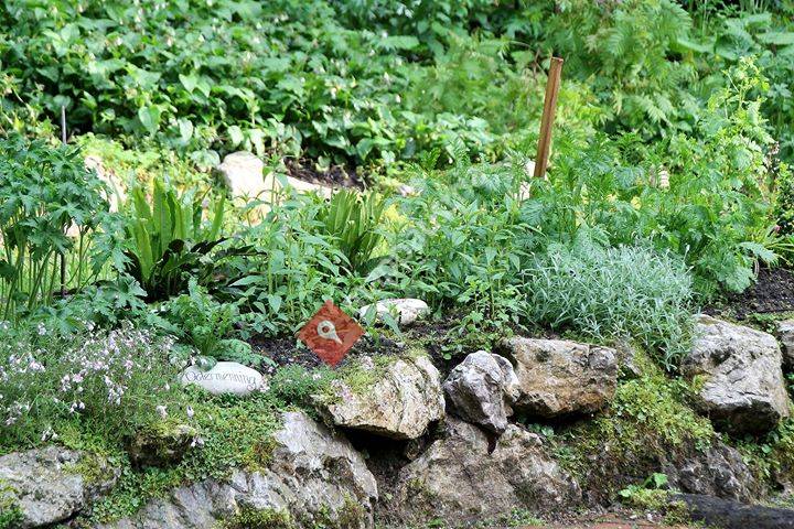 TVA Produktions- & Vertriebs- GmbH