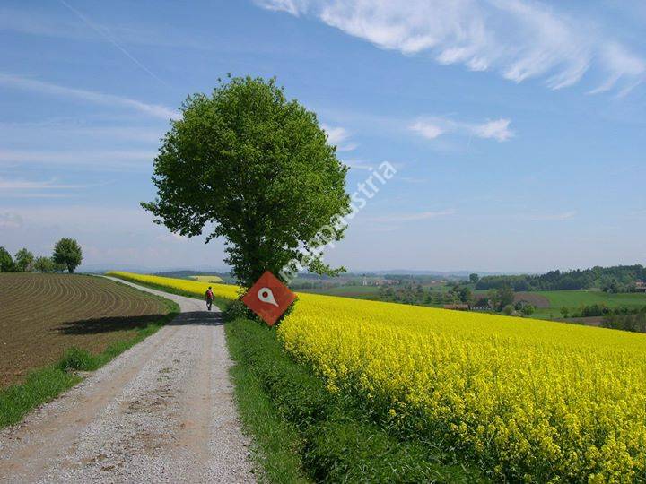 VIA NOVA - Europäischer Pilgerweg