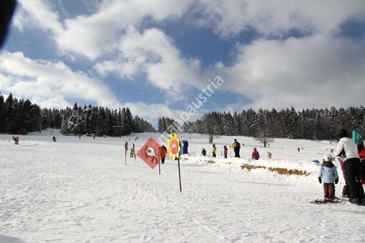 VIEHBERG - erstklassig Skifahren