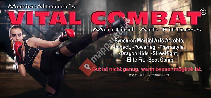 Vital Combat - Martial Arts Fitness