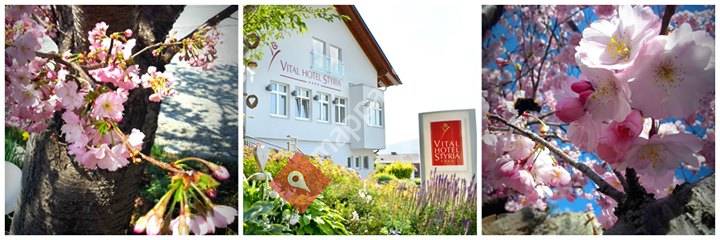 Vital-Hotel-Styria