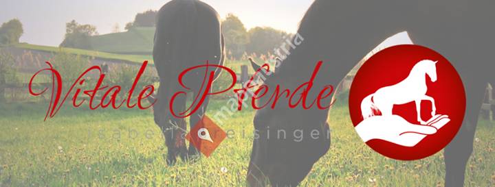 Vitale Pferde - Isabella Preisinger