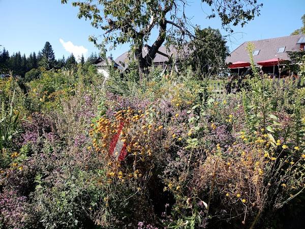 Volksheilkundlicher Kräutergarten
