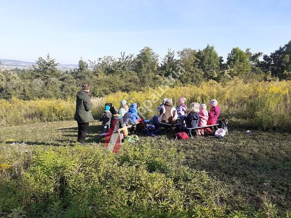 Waldkindergarten - Die Waldkäfer