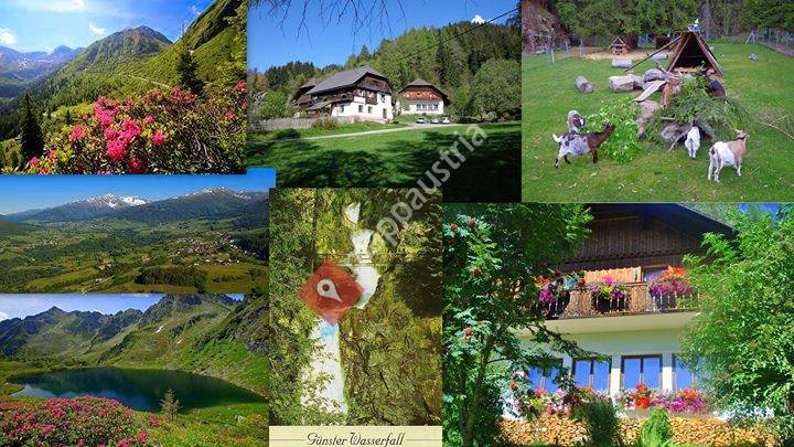 Wasserfall mit Streichelzoo & Apartment