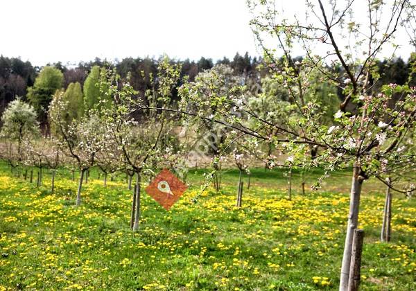 Watzenighof - Brigitte Fischer