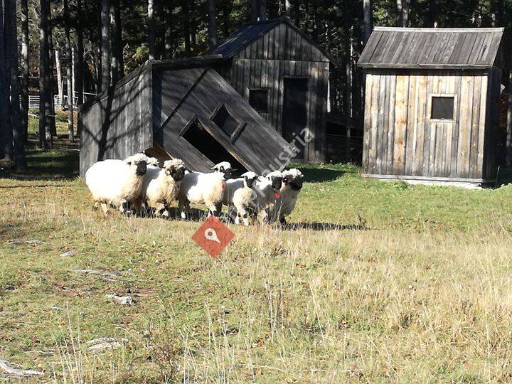 Weinbau Familie Groiss