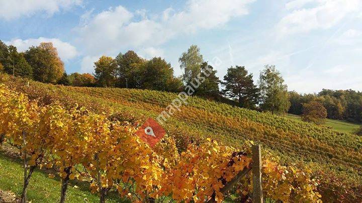 Weinbau Kainz