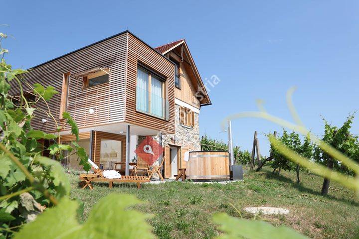Weinberg Lodge Klöch