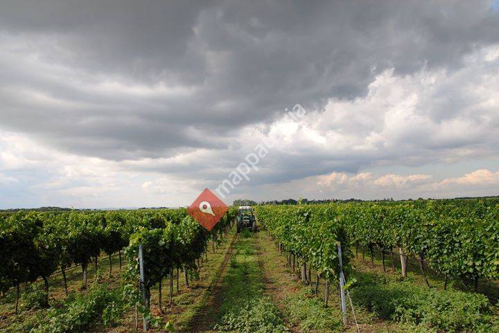Weingut Anita & Richard Goldenits