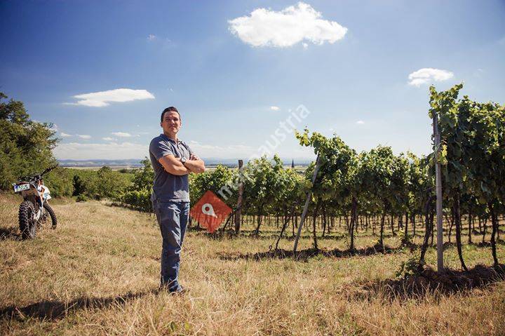 Weingut Baier