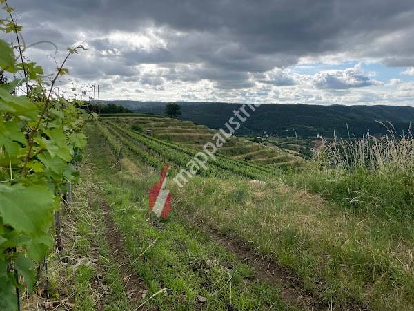 Weingut Familie Leopold