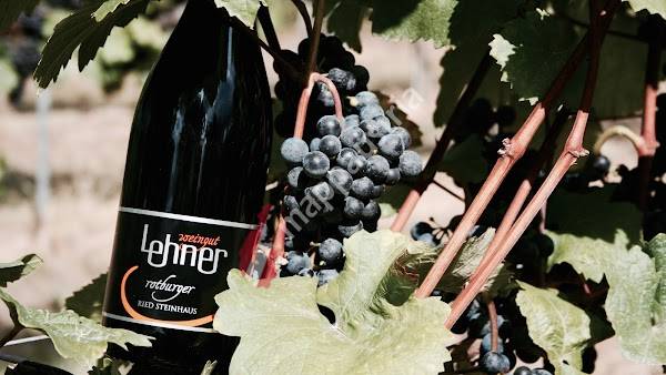 Weingut & Heuriger Lehner
