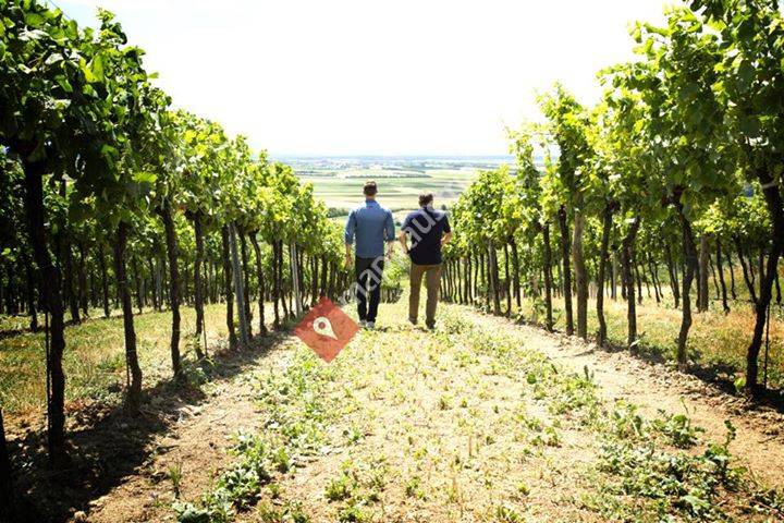 Weingut Kerner