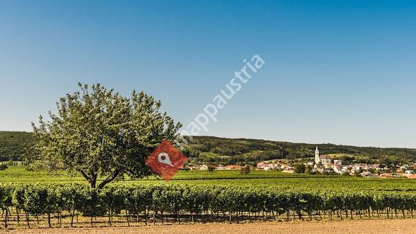 Weingut Kirchknopf