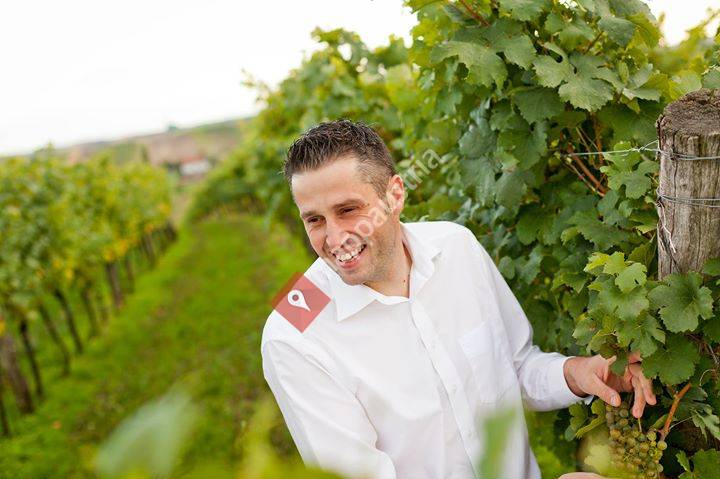 Weingut Machalek