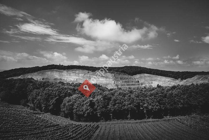 Weingut Müller