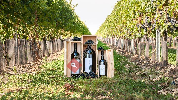 Weingut Robert Goldenits