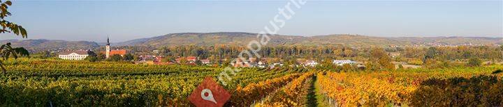 Weingut Schloss Gobelsburg