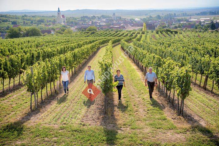 Weingut Schneider Röschitz