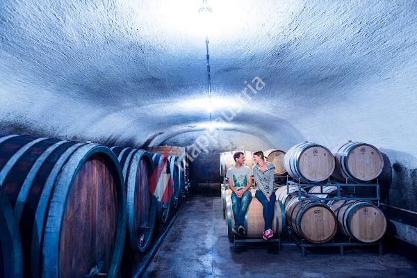 Weingut Wagentristl