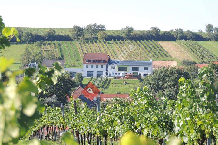 Weinstimmig - vinařství a vinárna Dworzak