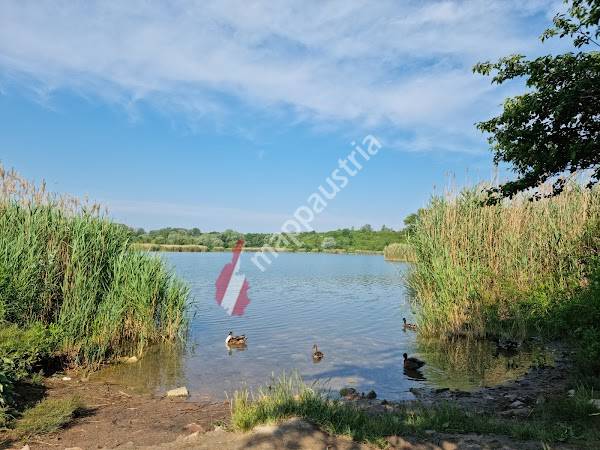 Wienerberg Teich-Ufer