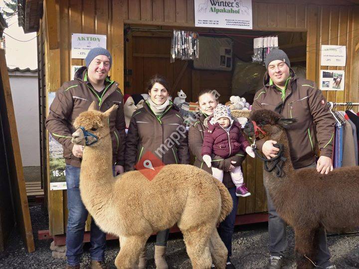 Winter's Alpakahof