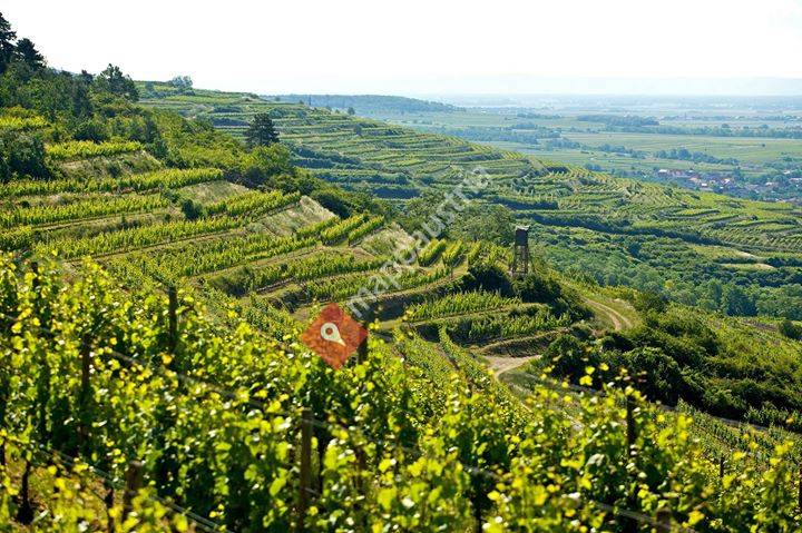 Winzerhof Burgstaller
