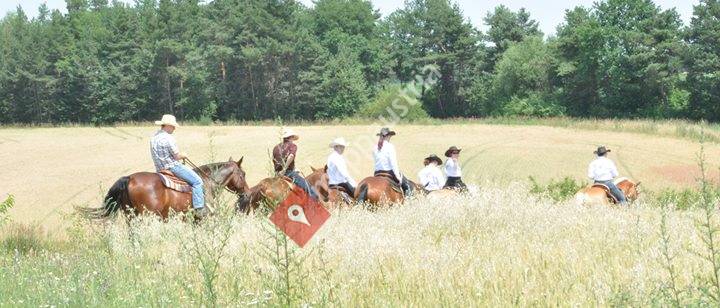 Workinghorse Ranch
