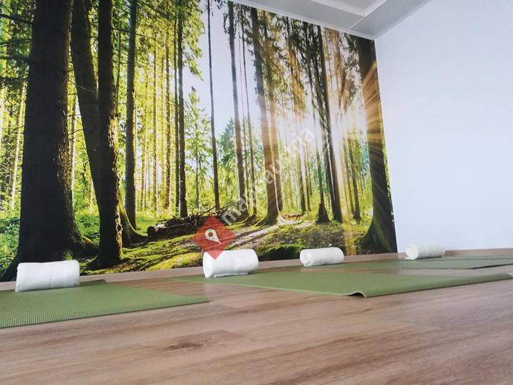 Yoga Sabine Lehner