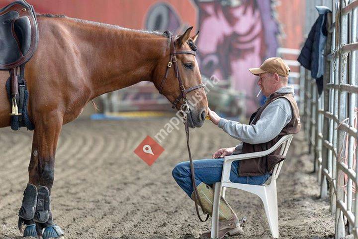 Zucht und Reitanlage Hoferstall Fußach