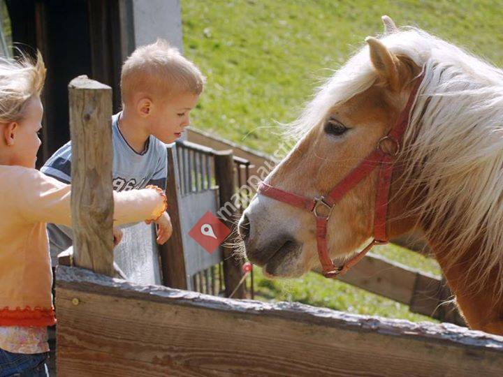 Zwergerlhof - Urlaub am Kinderbauernhof